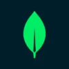 MongoDB